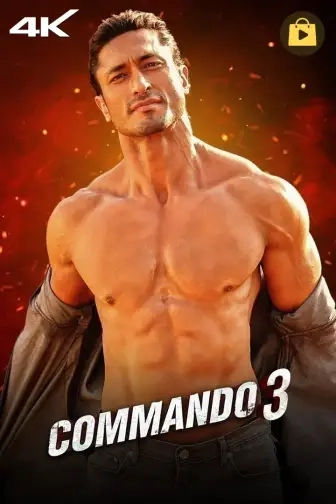 Commando 3