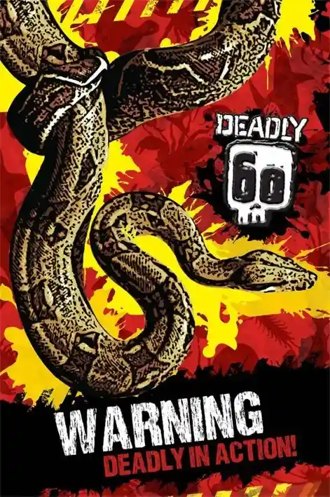 Deadly 60