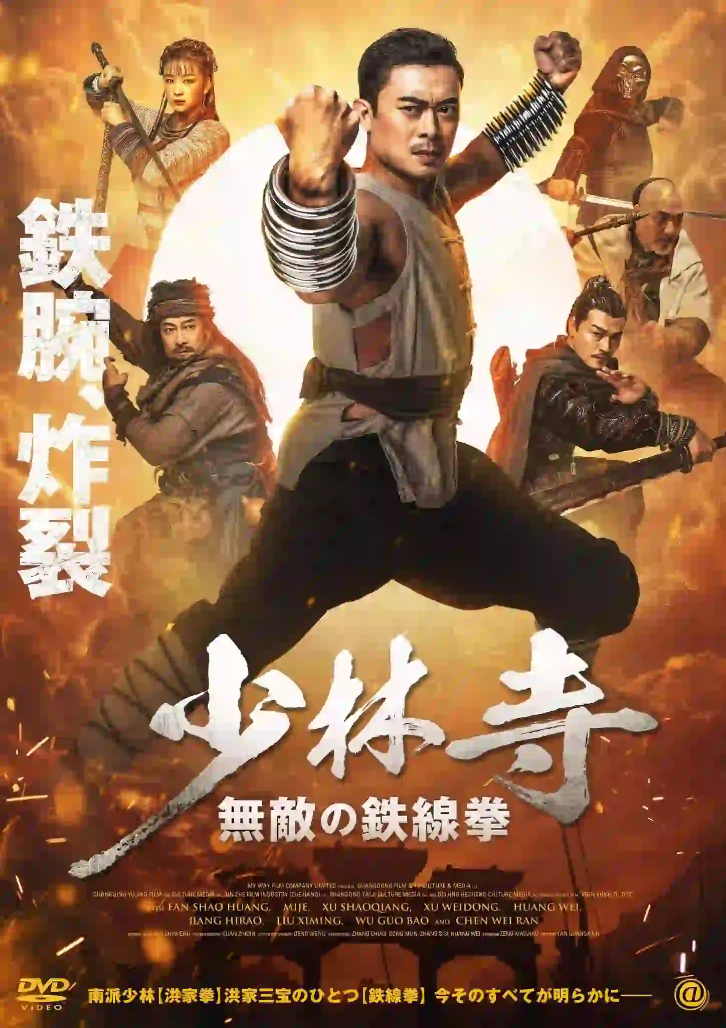 Iron Kung Fu Fist