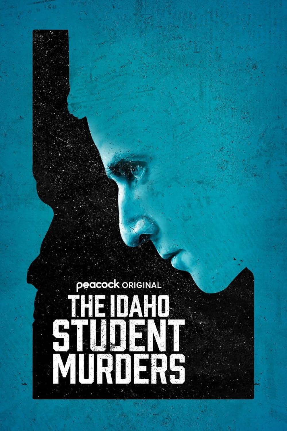 The Idaho Student Murders