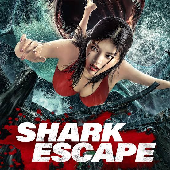 Escape of Shark