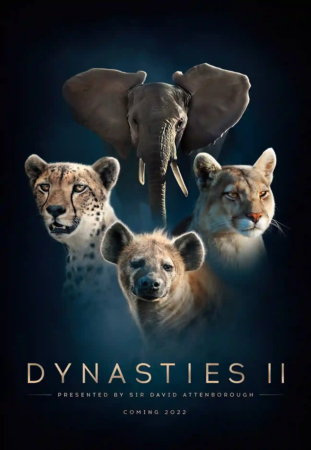 Dynasties