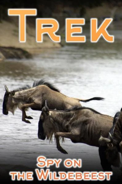 Trek: Spy on the Wildebeest
