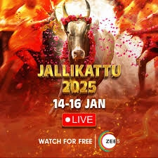Jallikattu - Festival of the Untameable Spirit