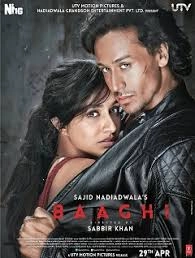 Baaghi: Rebels In Love