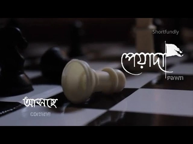 Pawn - Bengali Political Shortfilm