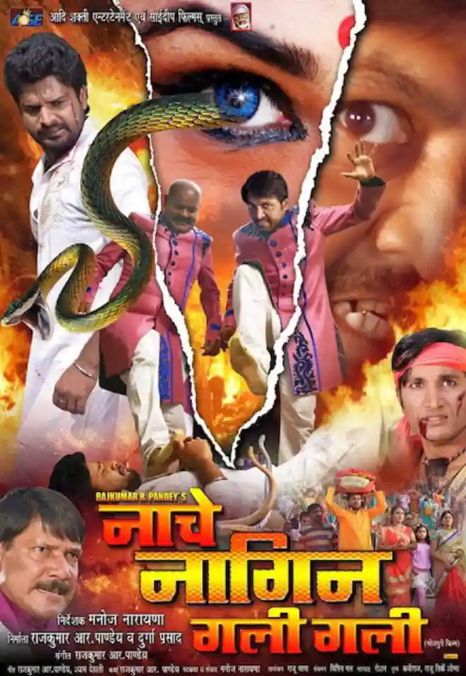 Nache Nagin Gali Gali