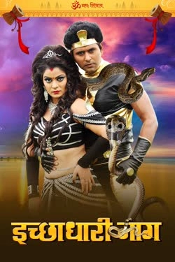 CURRENT THEEGA (DON KI JUNG) BHOJPURI