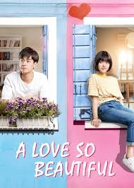 A Love so Beautiful