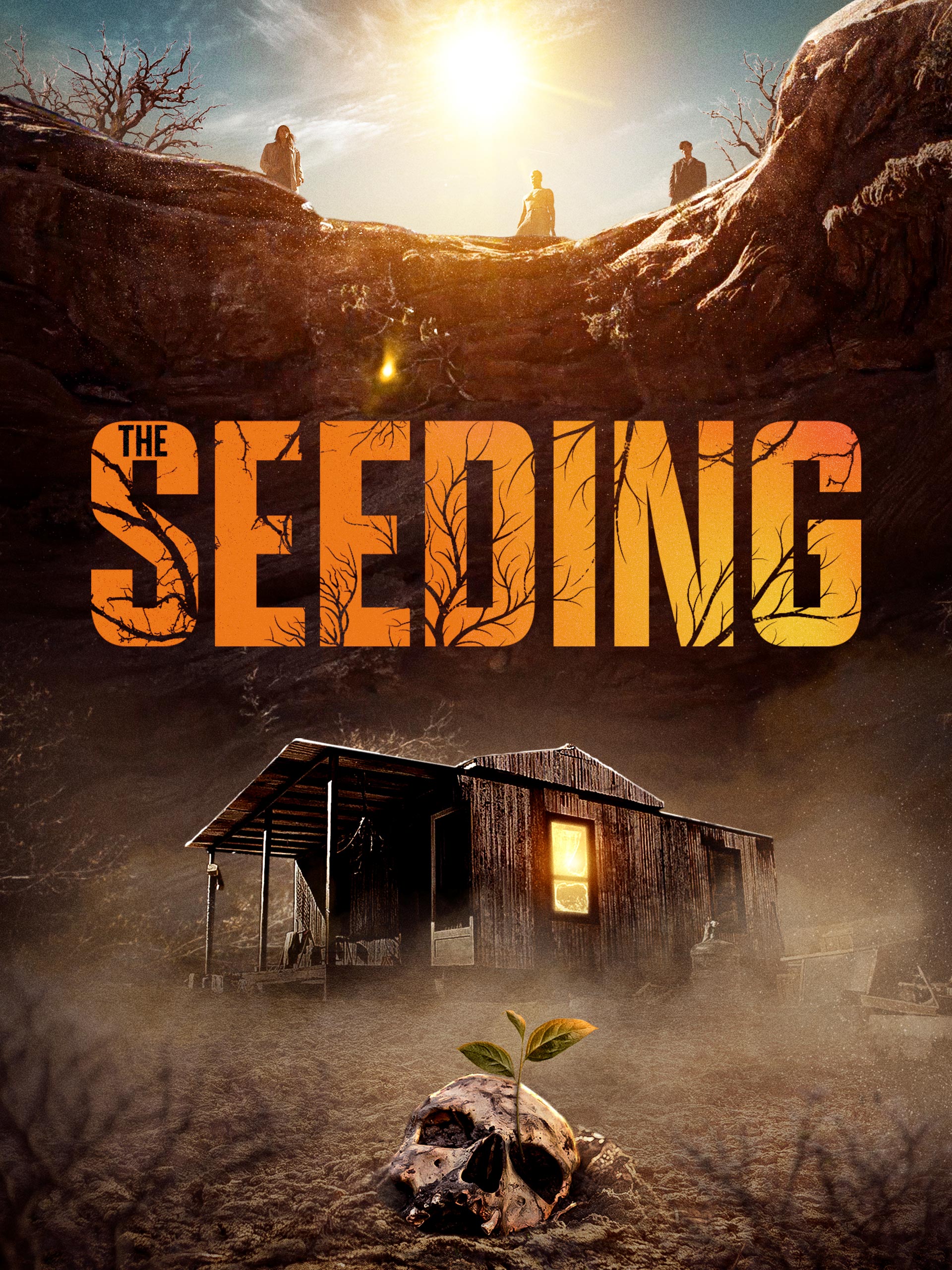 The Seeding