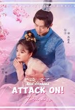 Attack on! Princess