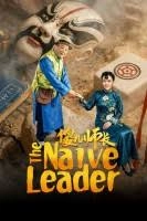 The Naive Leader