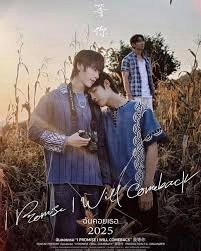 I Promise I Will Comeback