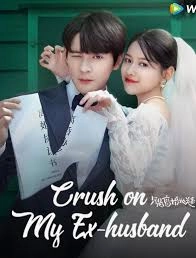 Crush on My Ex-husband