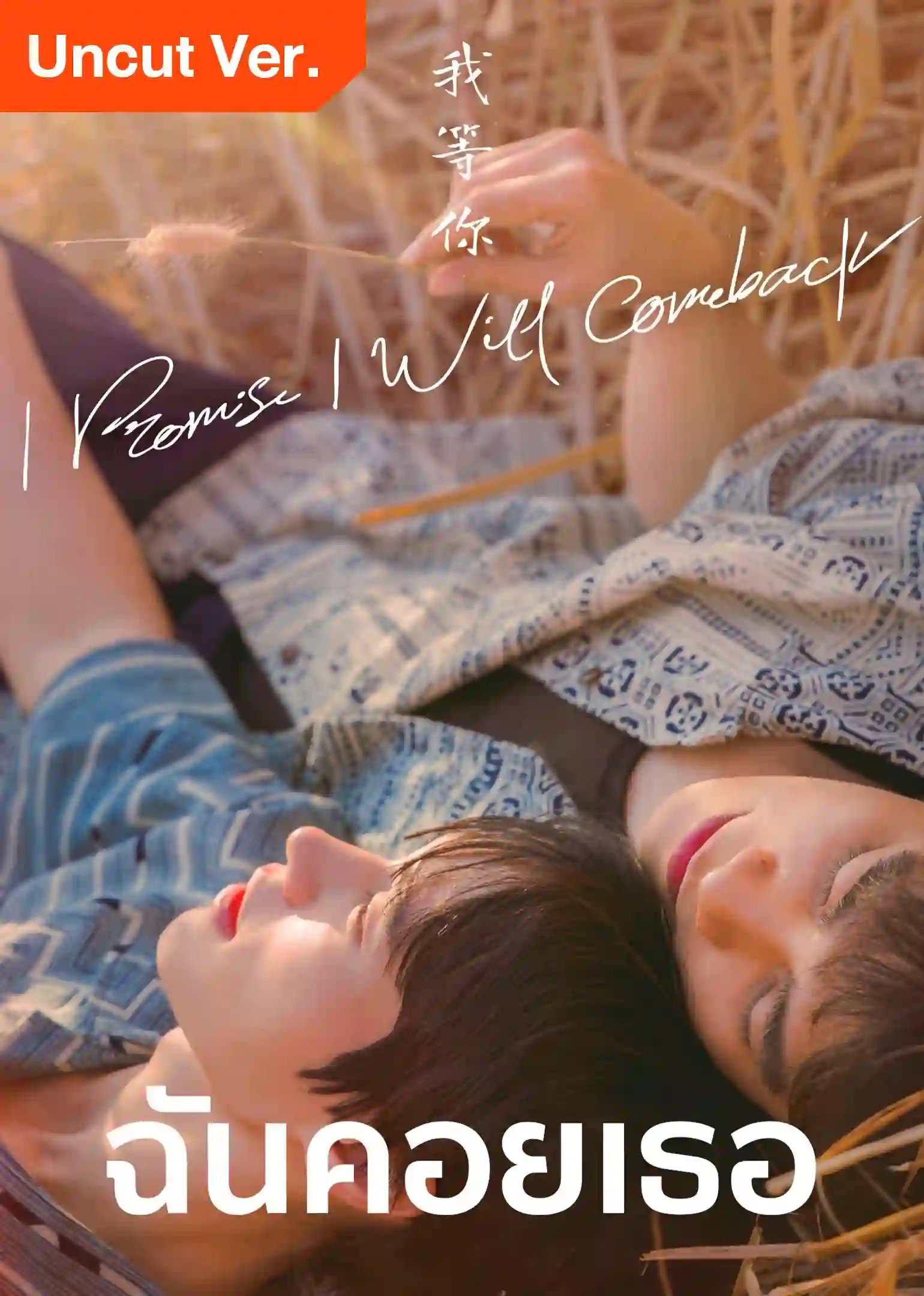 I Promise I Will Comeback