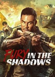 FURY IN THE SHADOWS