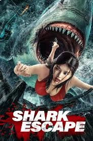 Escape of Shark