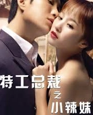 The Special Agent and His Hot Girl