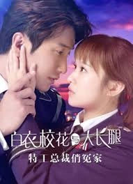 Vice President of Secret Service