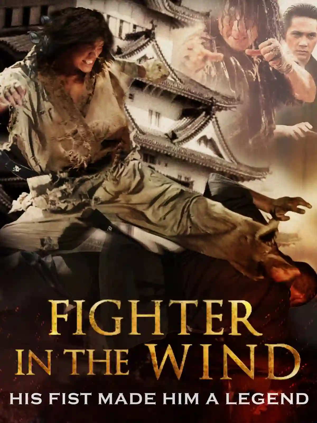 Fighter in the Wind (Hindi)