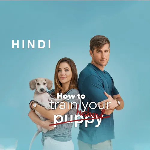 How To Train Your Husband