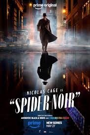 SPIDER NOIR
