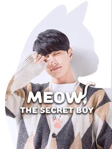 MEOW : THE SECRET BOY